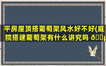 平房屋顶搭葡萄架风水好不好(庭院搭建葡萄架有什么讲究吗 🐵 )